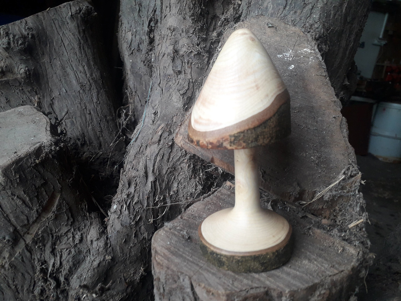art ash crafts   Donegal Ireland lathe mushroom patrick sweeney design wood woodturning