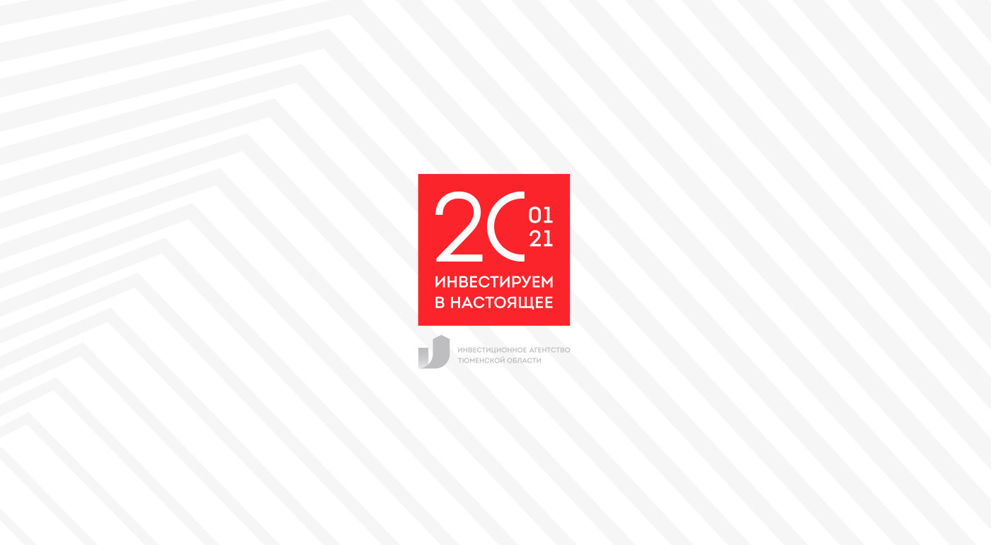 20 Years 20th Anniversary anniversary Event identity Investments logo tyumen region