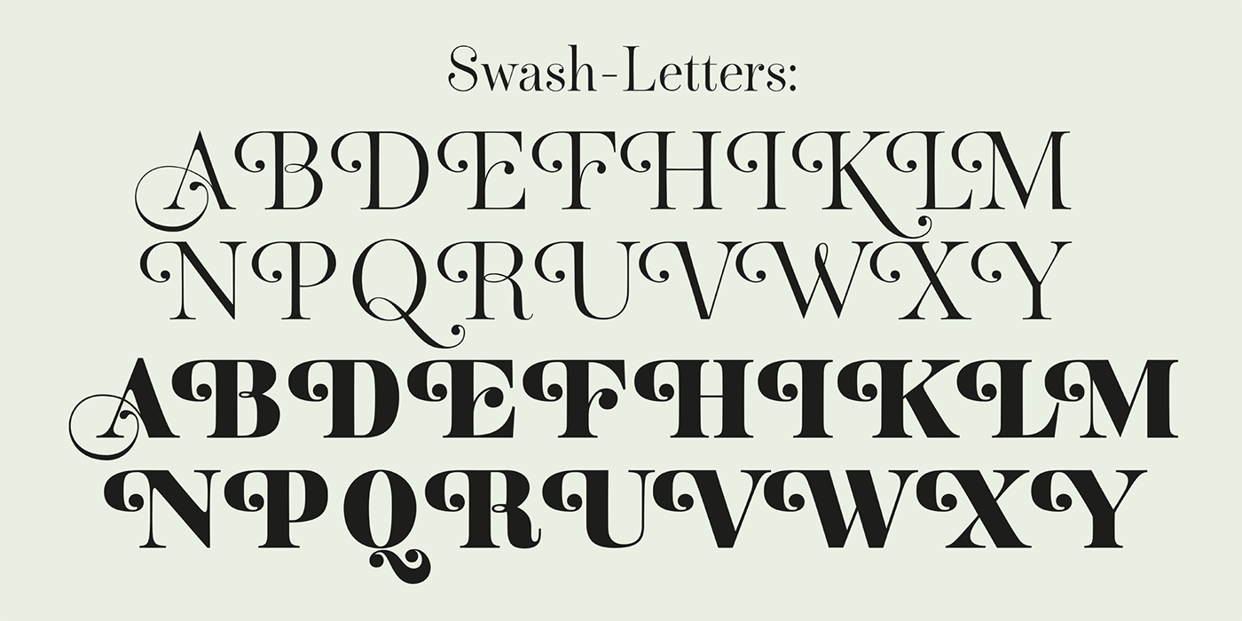 Didone Display font fontdesign ligature serif type typedesign Typeface typography  