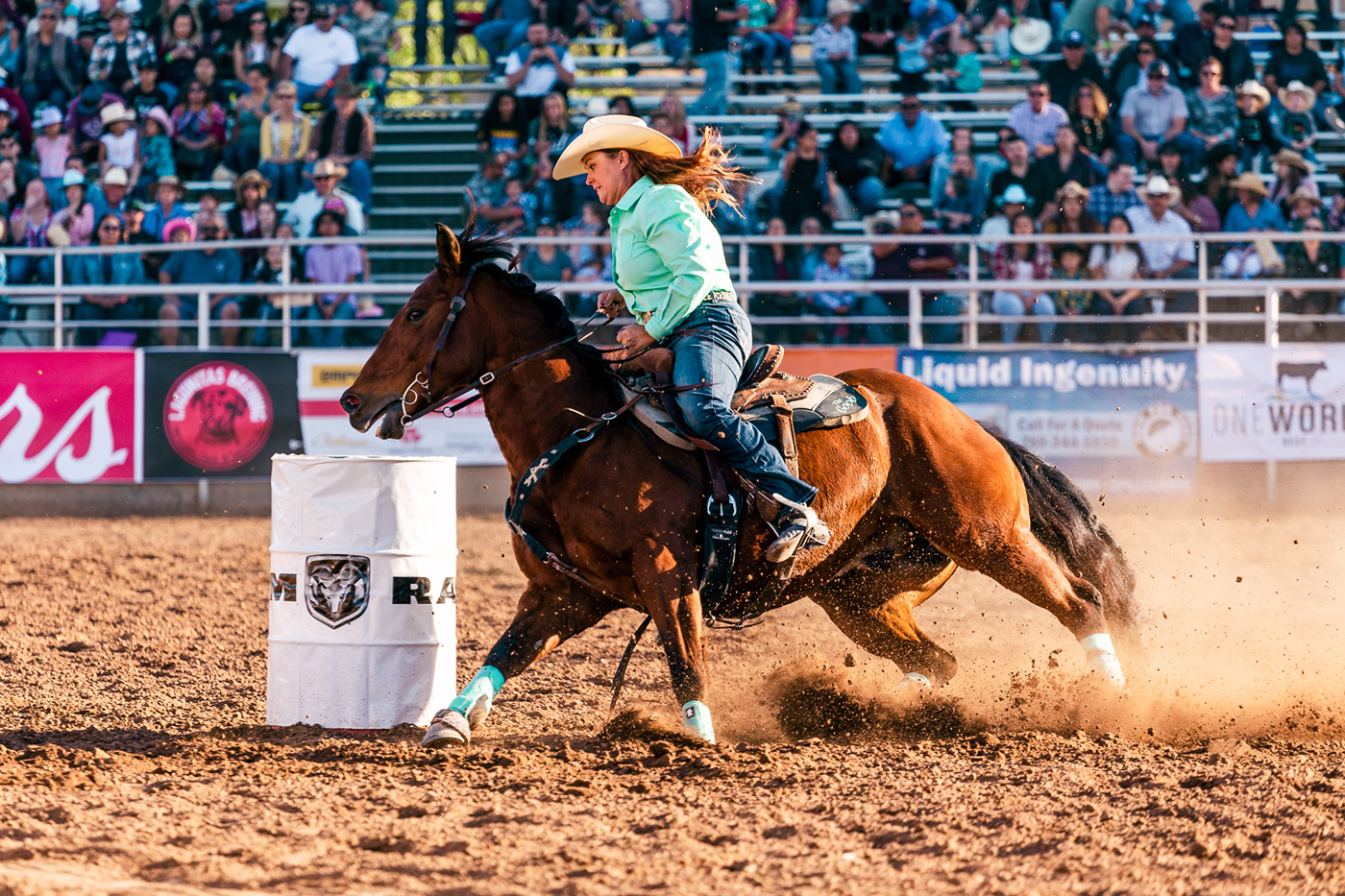 rodeo cowboy cowgirl Bullrider horse Cattle flag Arena rodeo clown  bull