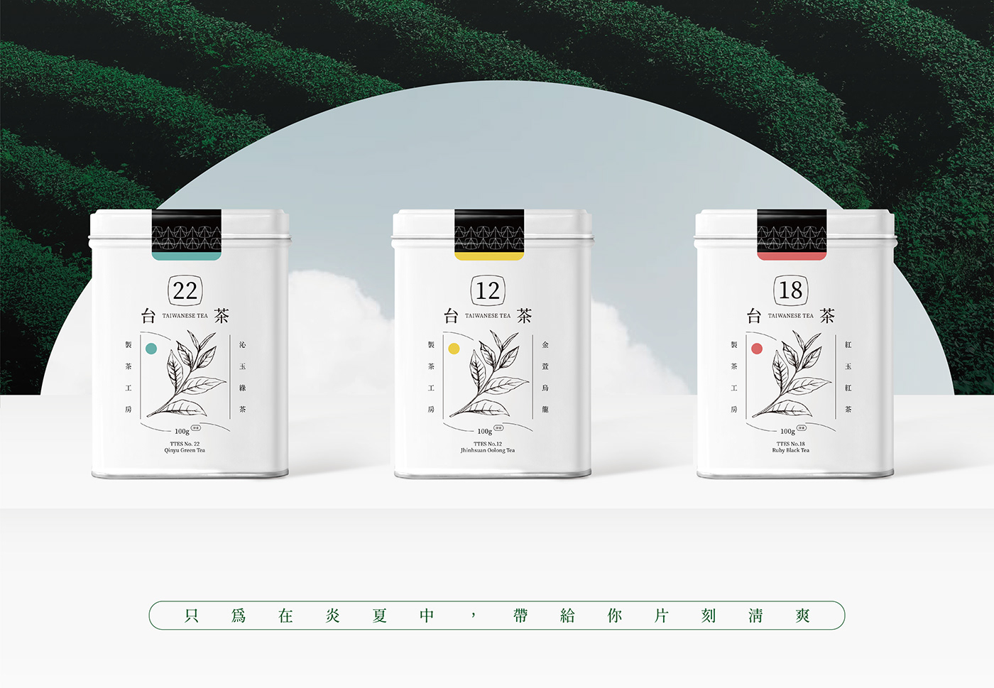 branding  graphic design  Packaging summer tea