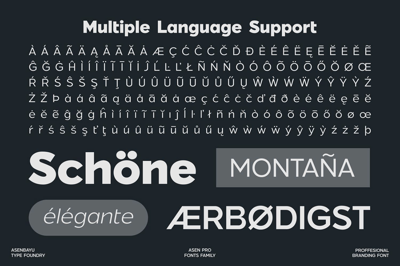 font Typeface logo brand identity Graphic Designer visual identity geometric ligature modern branding 