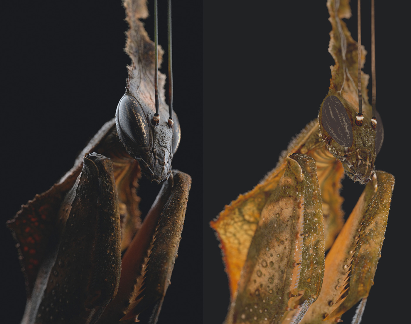 animal mantis insect Insects macro Render 3ds max vray ghost