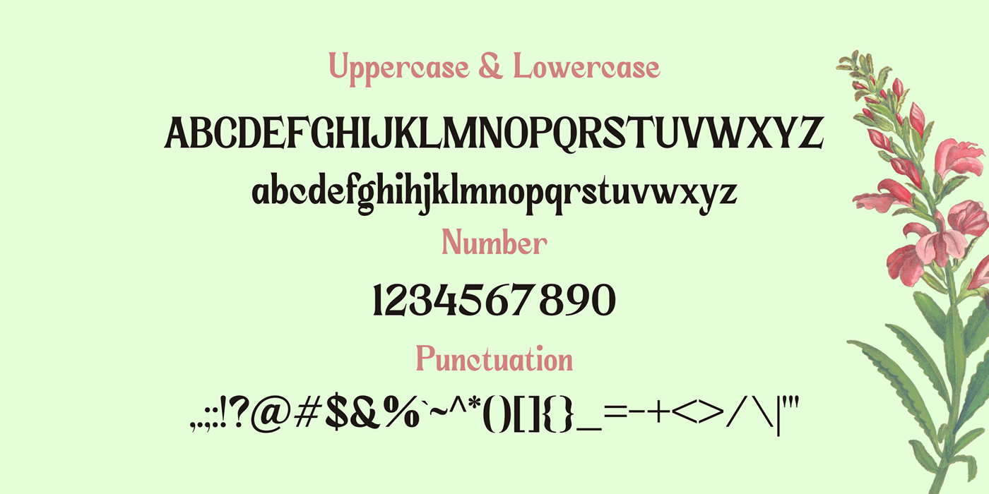 Serif Font type design elegant Classic typography   typography design font designer Font Project  Typeface