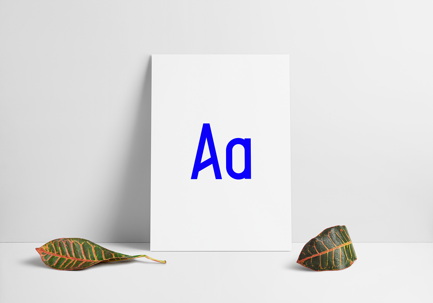 font art type fonts typography   Alpha letter Letterform