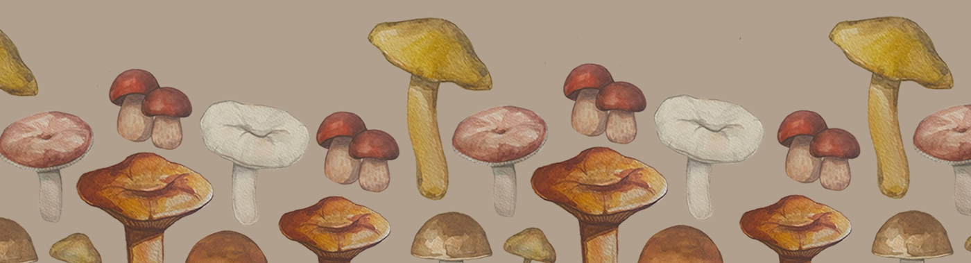 mushroom Nature ILLUSTRATION  грибы открытки постер акварельная иллюстрация pattern паттерн