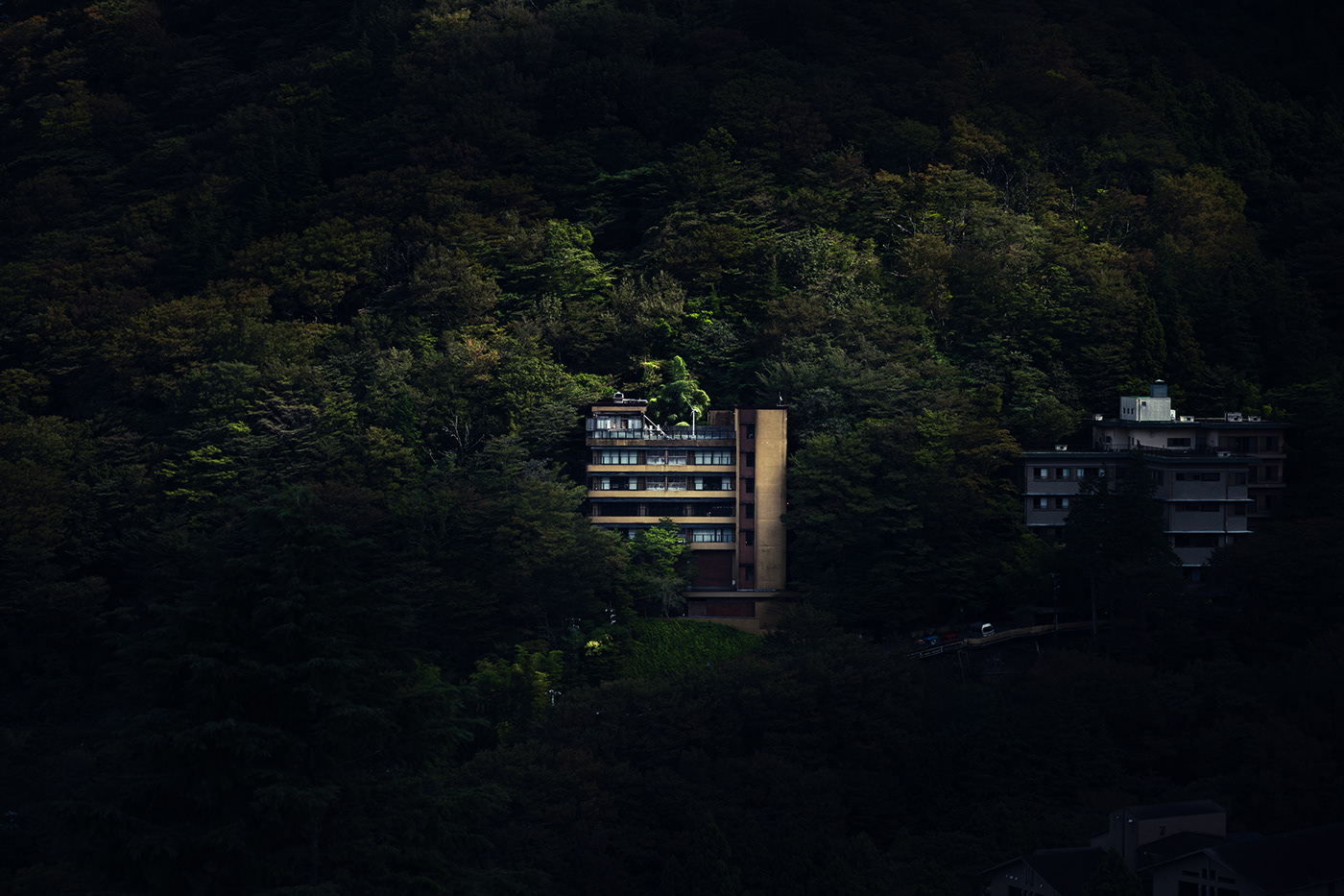 japan tokyo Automotive Photography Travel Moody dark colors night Nature city