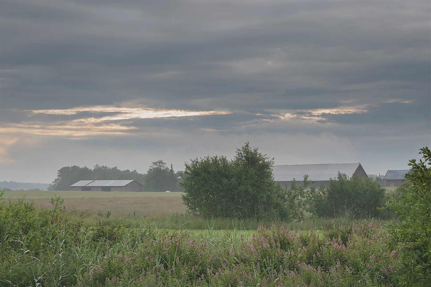 MORNING Landscape Sony adobe Sweden rural