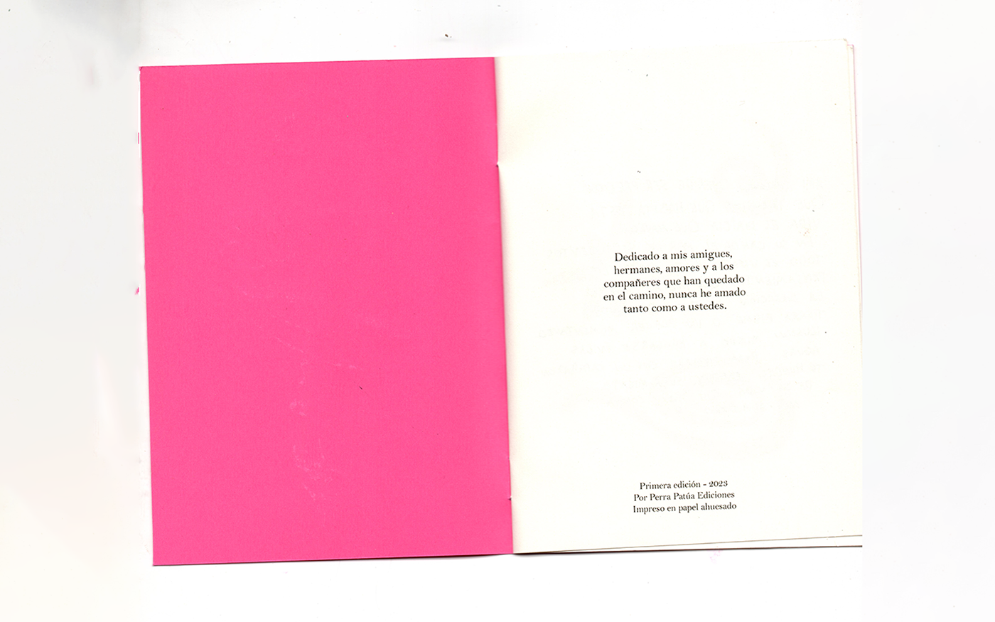 fanzine editorial handprinted silkscreen serigrafia diseño gráfico Graphic Designer art queer LGBT
