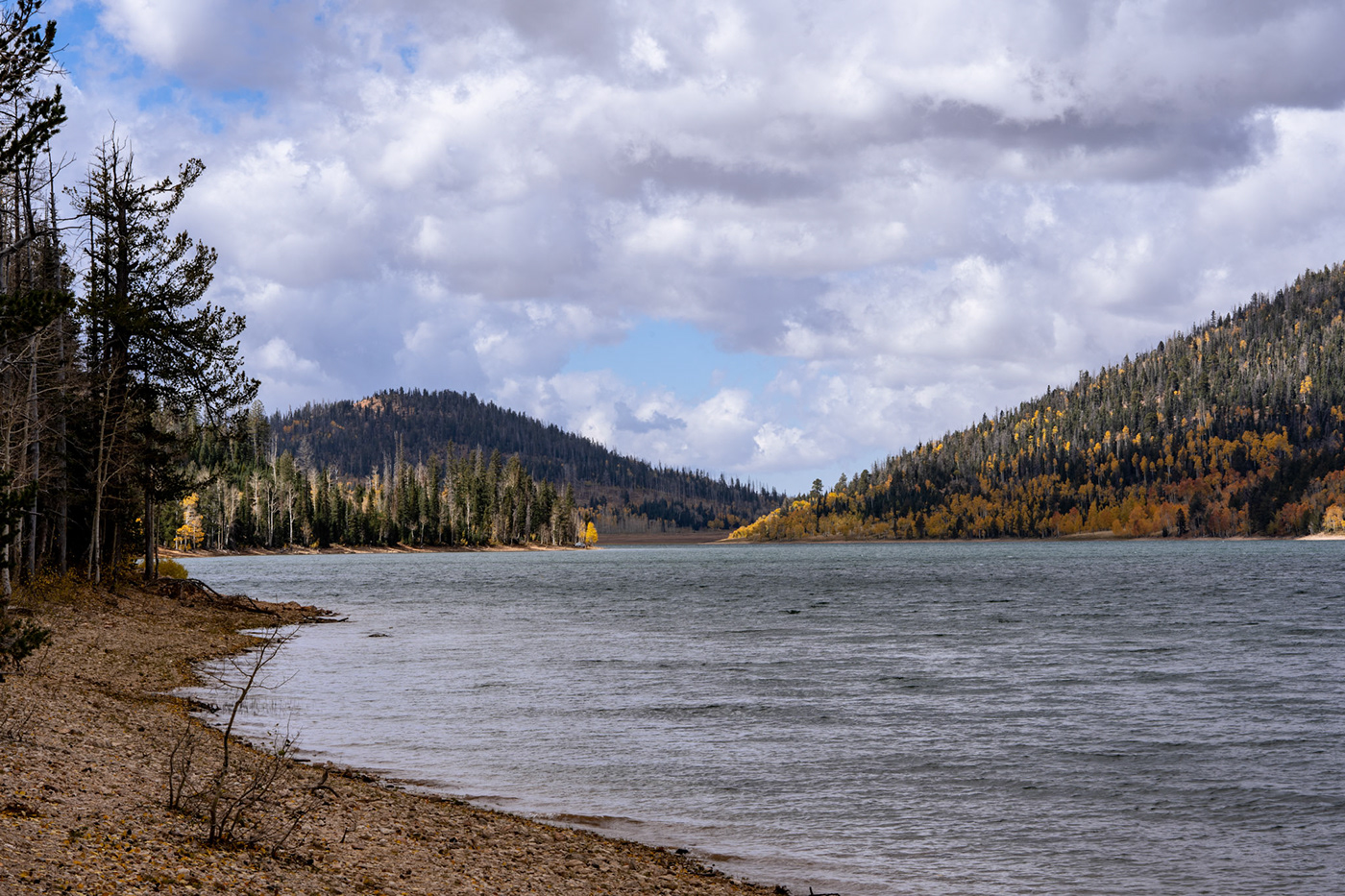 A cloudy fall day on the shore of Navajo Lake, where the wind lightly stirs the water
