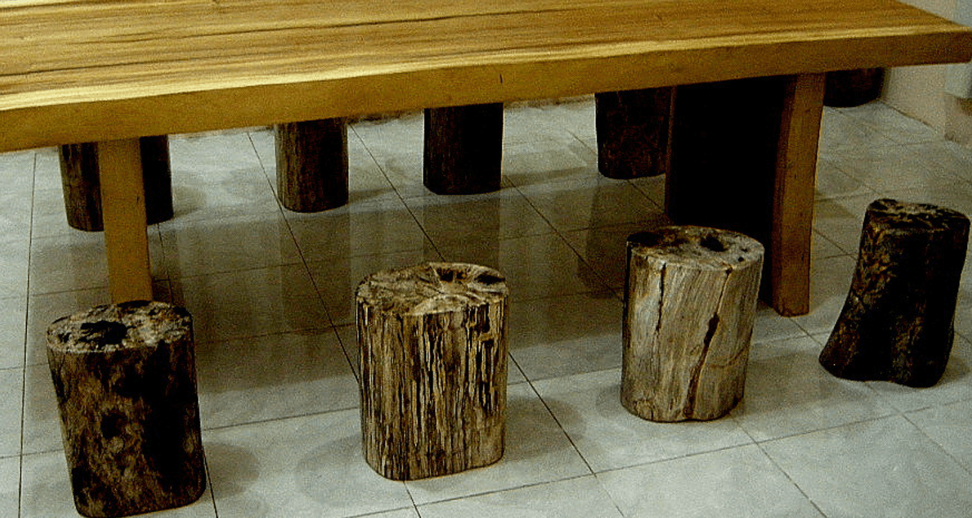 Fossil Wood Stools for sale