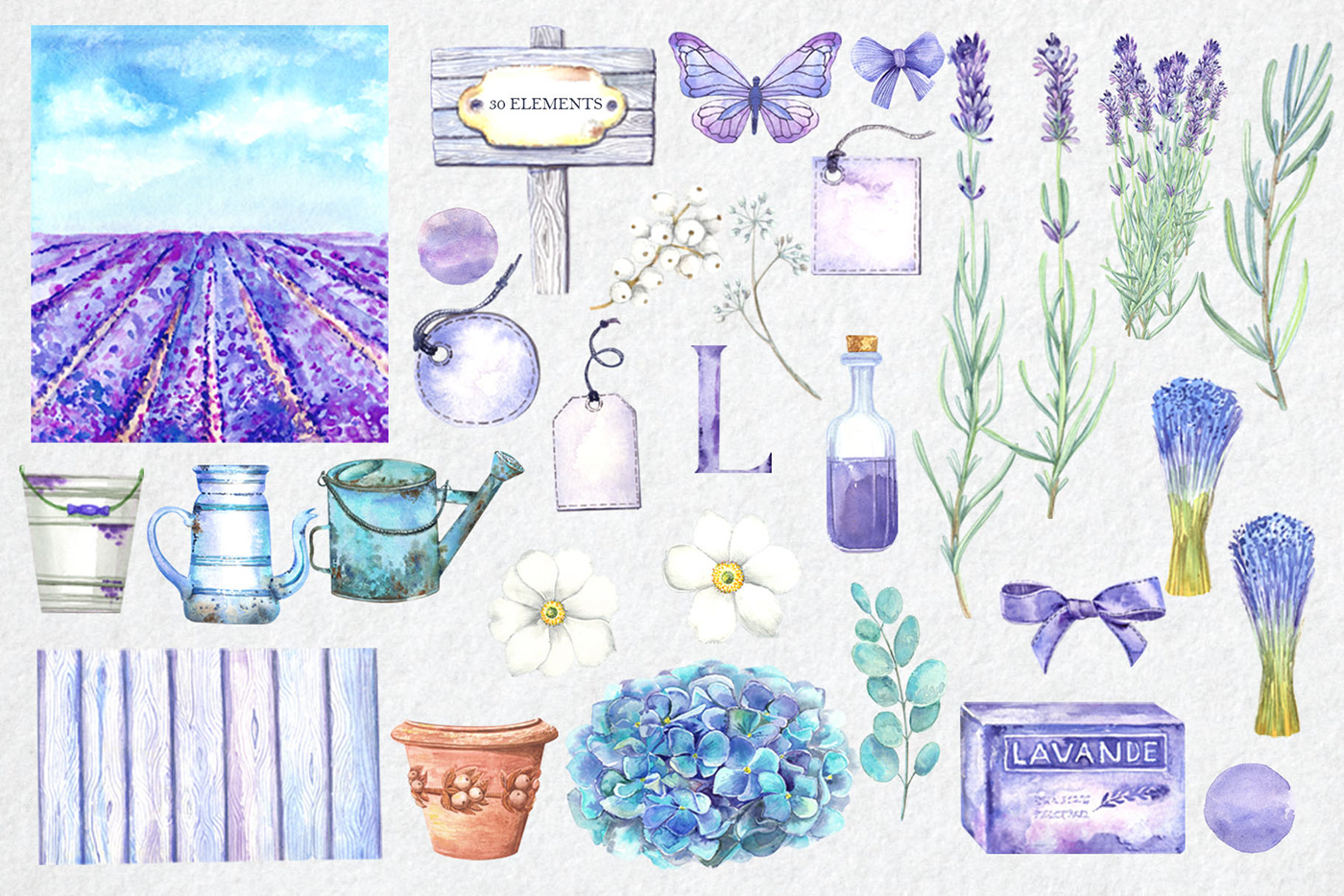 blue flowers floral clipart French hydrangeas lavender lilac Provence watercolor