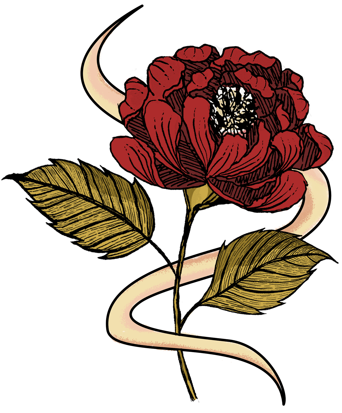 Baybayin botanical Digital Art  digital illustration flower graphic art