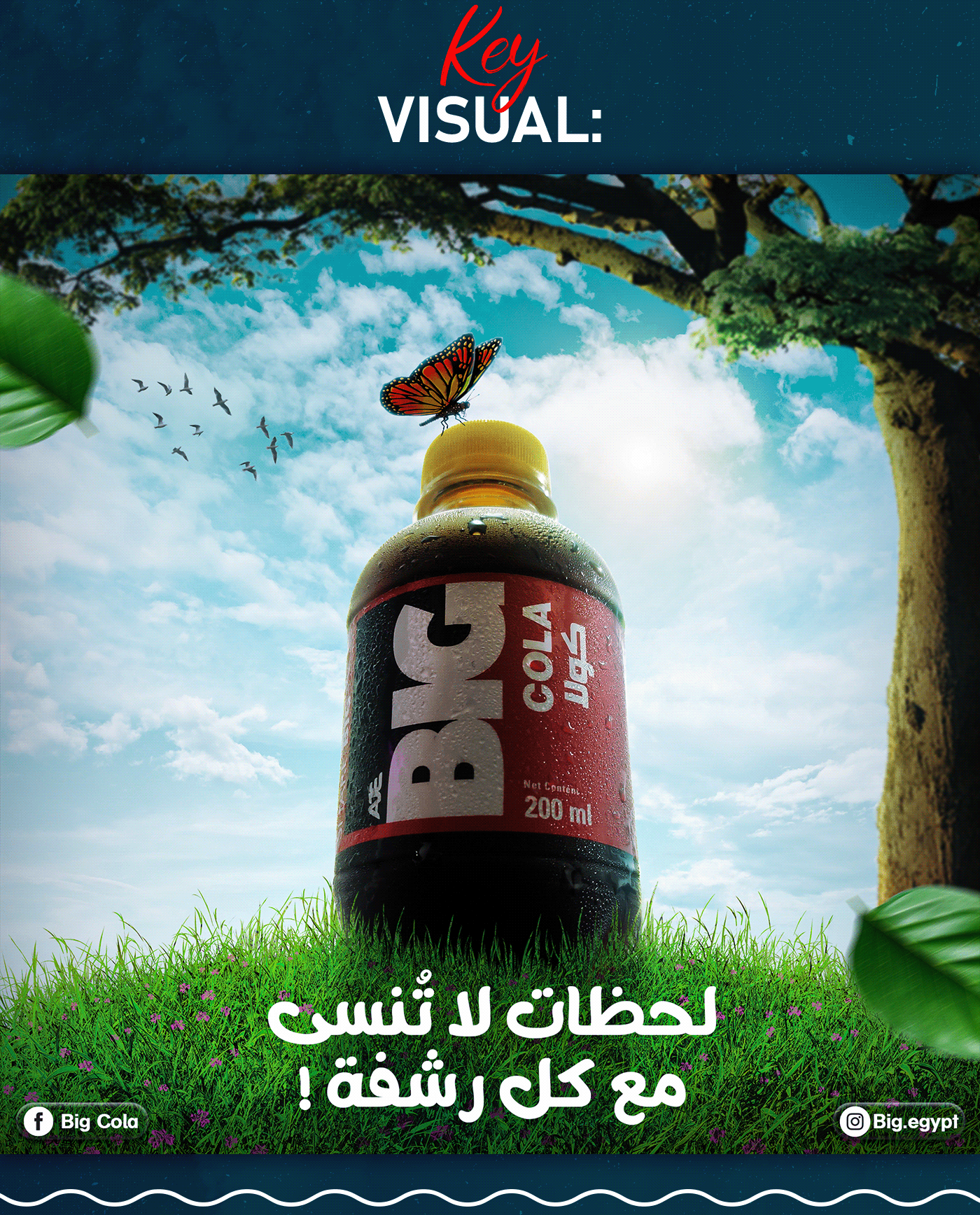 social media Advertising  design visual identity marketing   Photo Manipulation  artwork photoshop