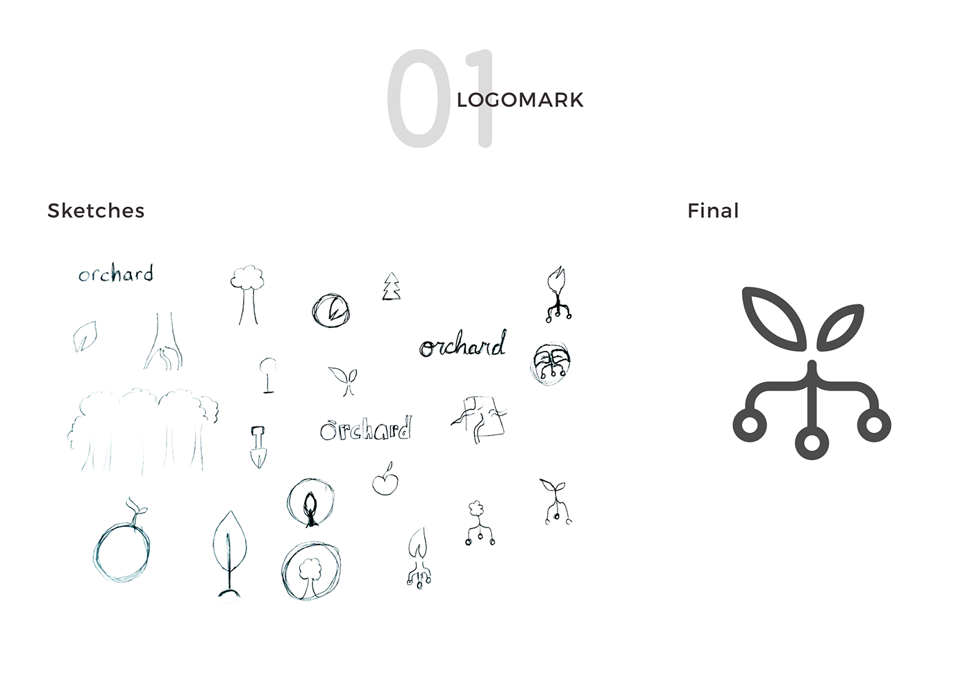 branding  identity logo ui design Web Design  Logo Design graphic design  ux user interface visual design