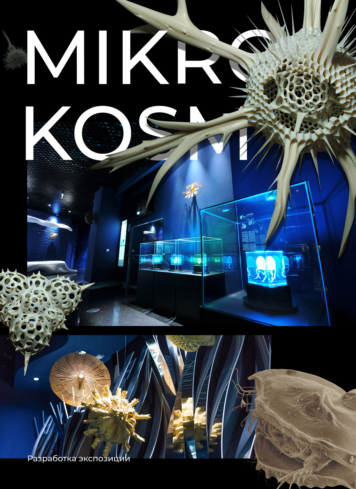 Stand micro kosm expo exebition museum oceanarium aquarium