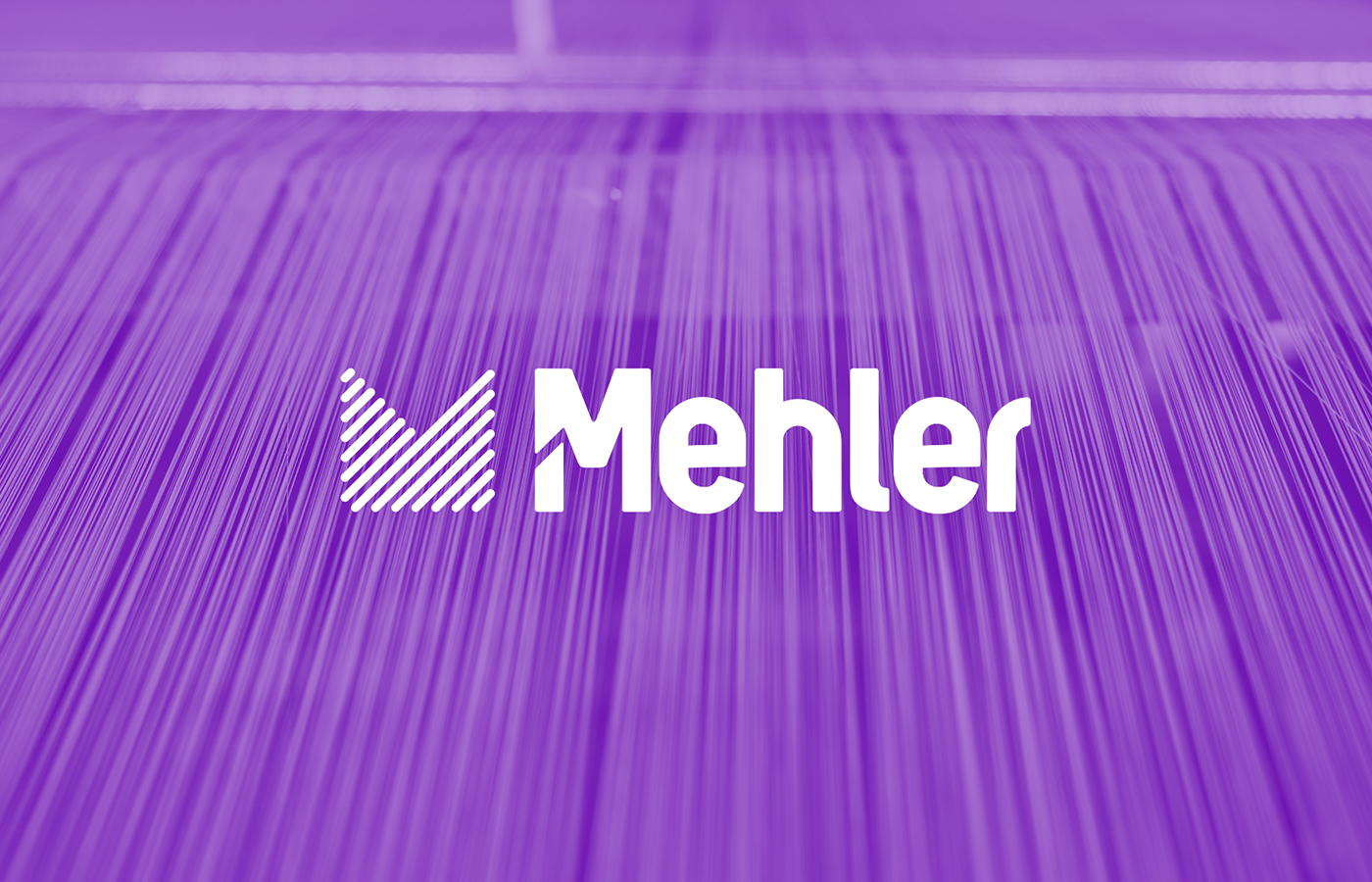 Mehler shaping the future brand
