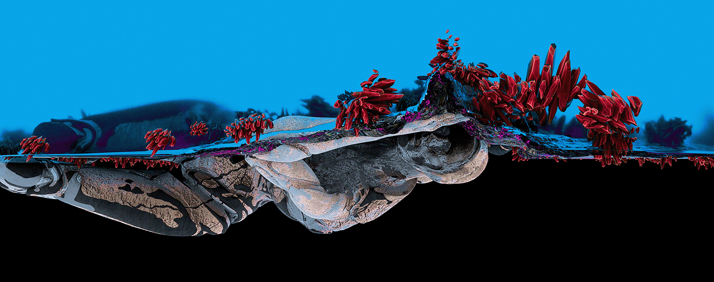 3D CGI Digital Art  concept Render environment texturing visualization colors artwork