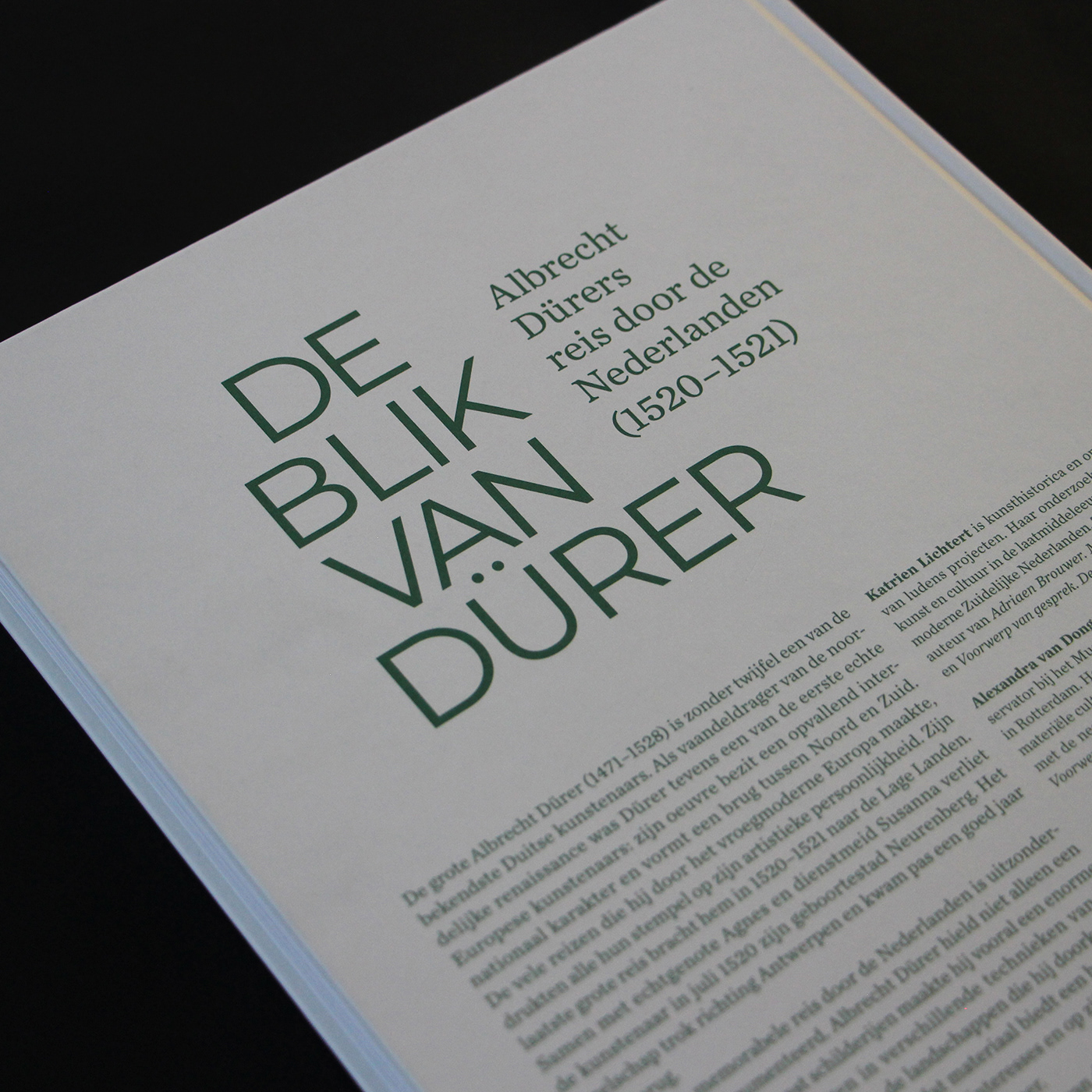 art art book book design cover design editorial design  typography  