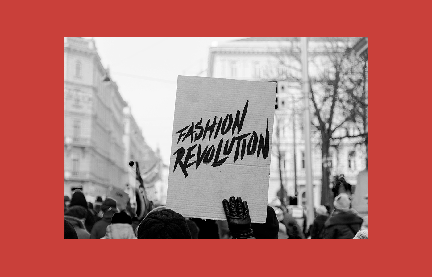 Fashion  design revolution