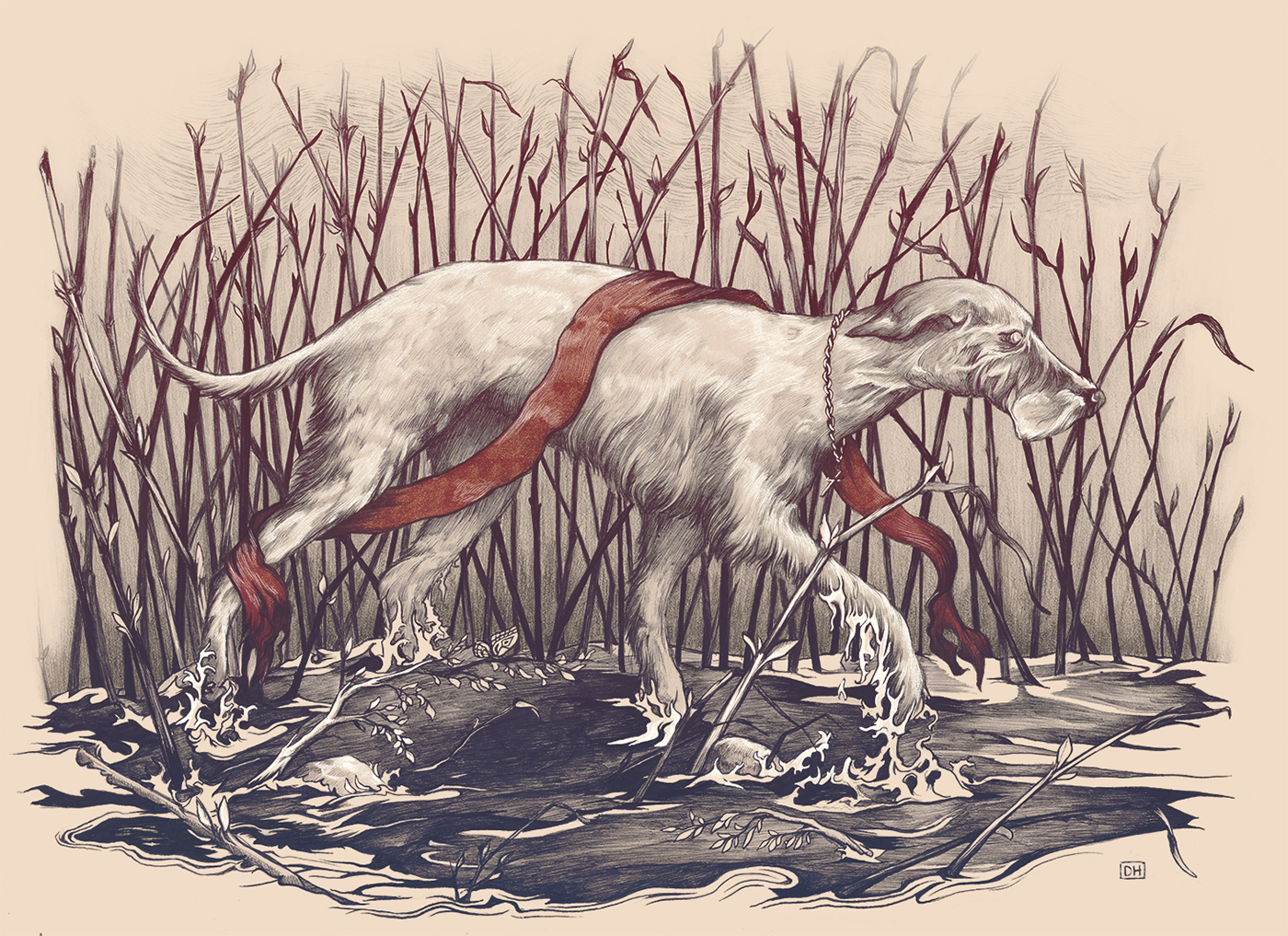 derik hobbs dogs marsh swamp politics mythology threshold dane wild life