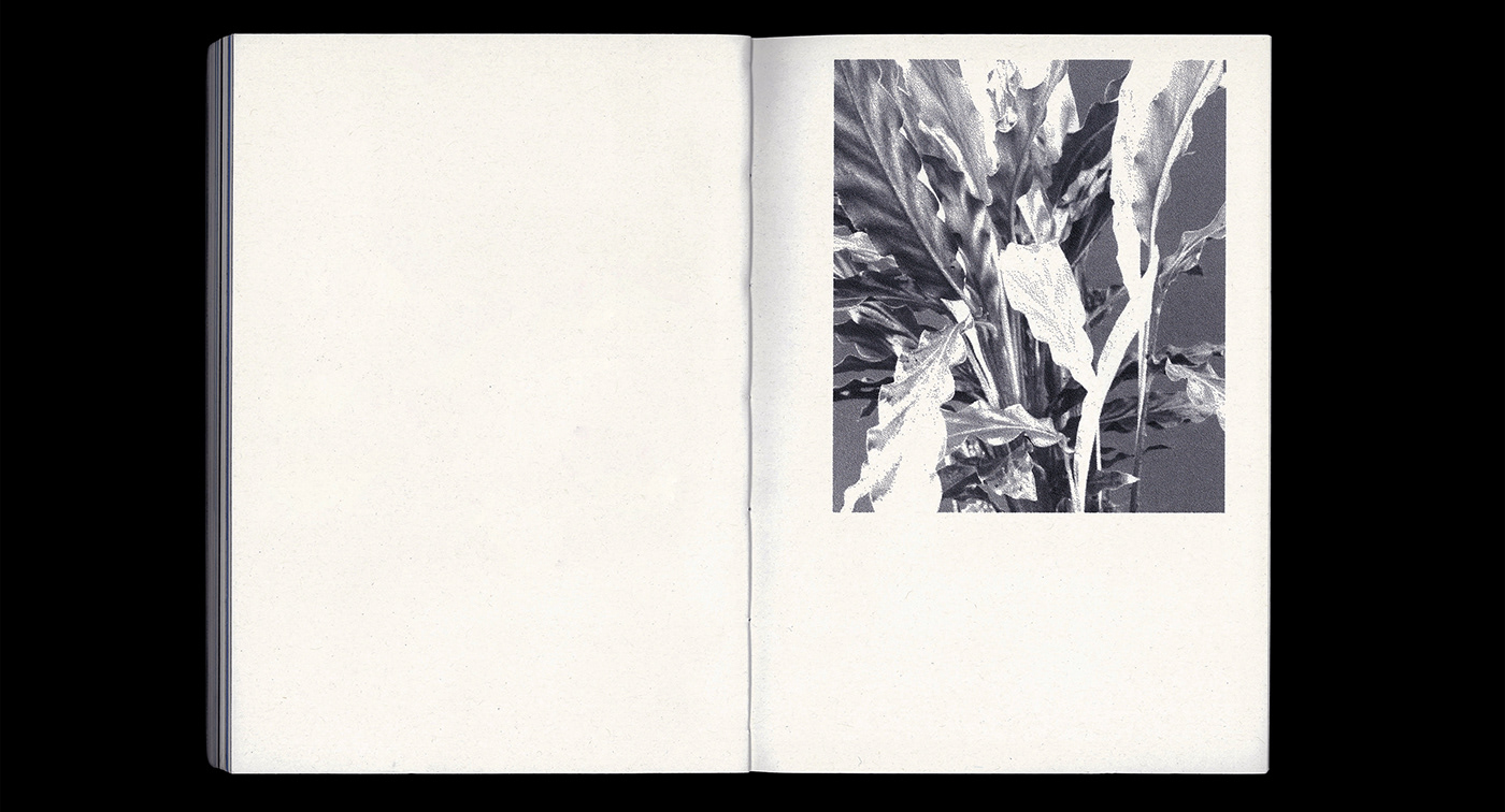 editorial editorial design  graphic design  print Bookbinding philosophy  Nature plants Involuntary artistic practice