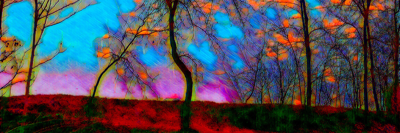 clouds colorful contemporaryart digitalpainting dream Landscape popart seasons surreal trees