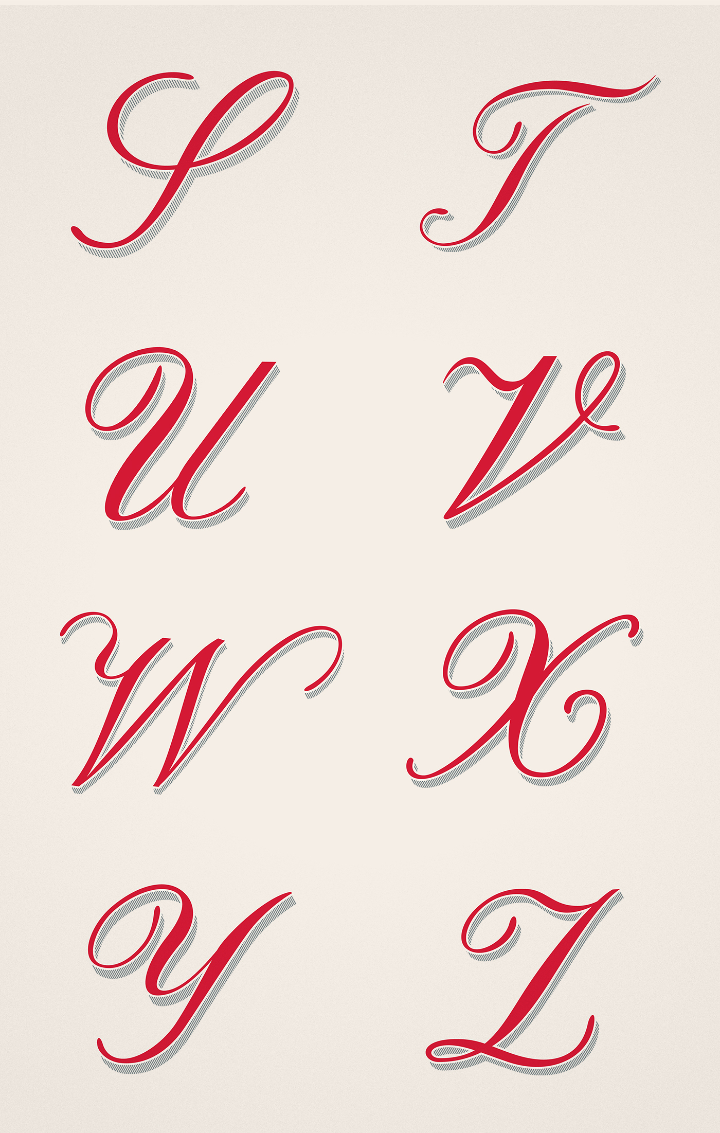 Script lettering round typography   ILLUSTRATION  alphabet letters