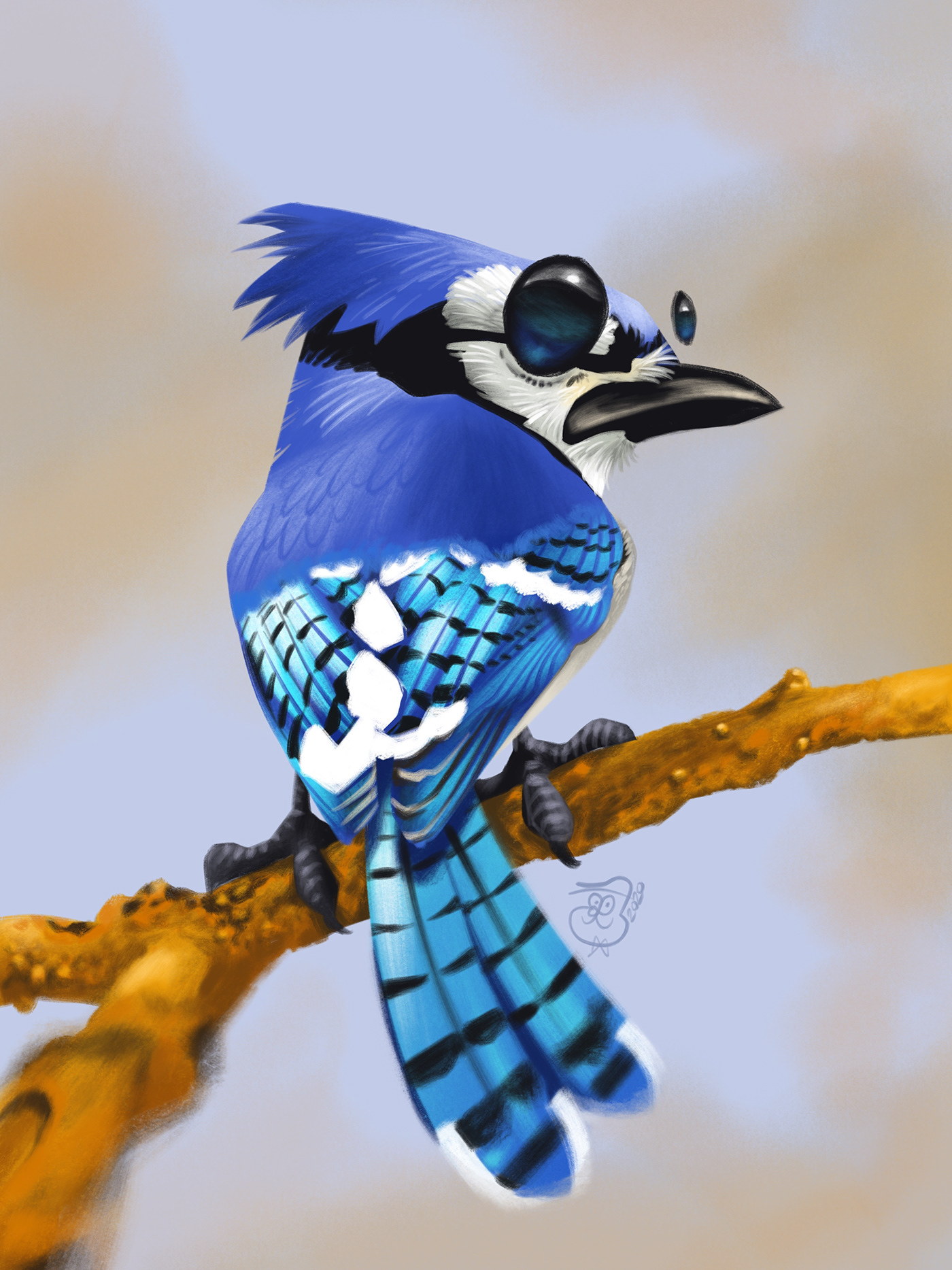 animals birds caricature   caricaturesofbirds Character design  digital illustration digital painting ILLUSTRATION  Nature Procreate