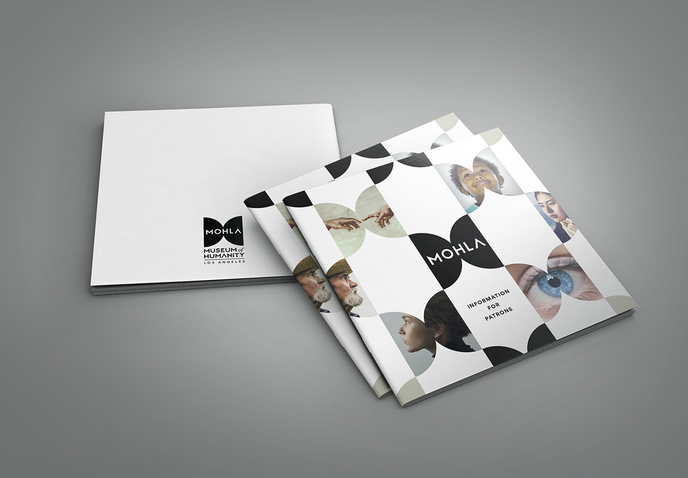 branding  logo brand identity brand style guide museum strategy brochure Los Angeles butterfly museum branding