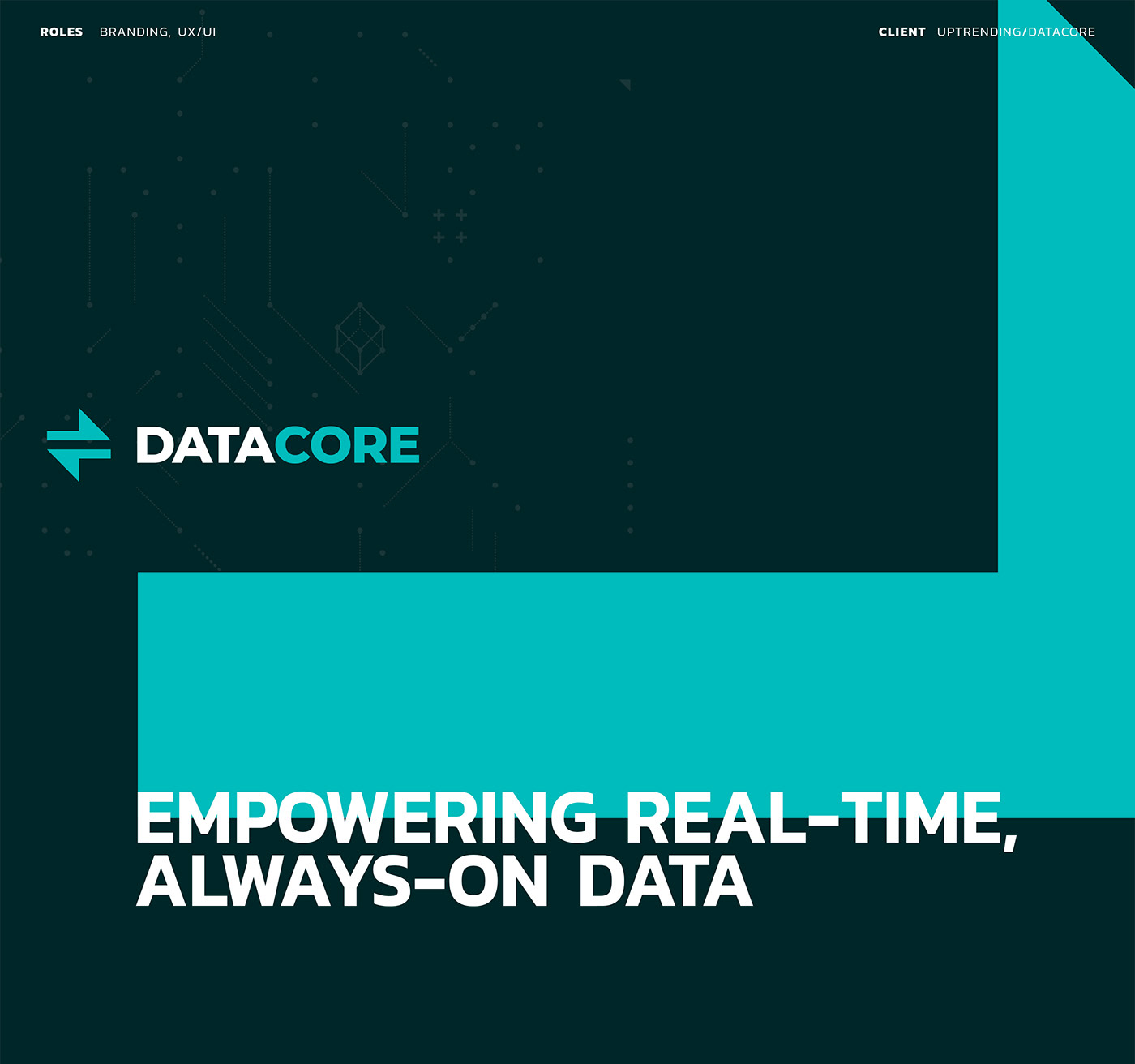 DataCore Data bold clean modern Website Technology Big Data black aqua