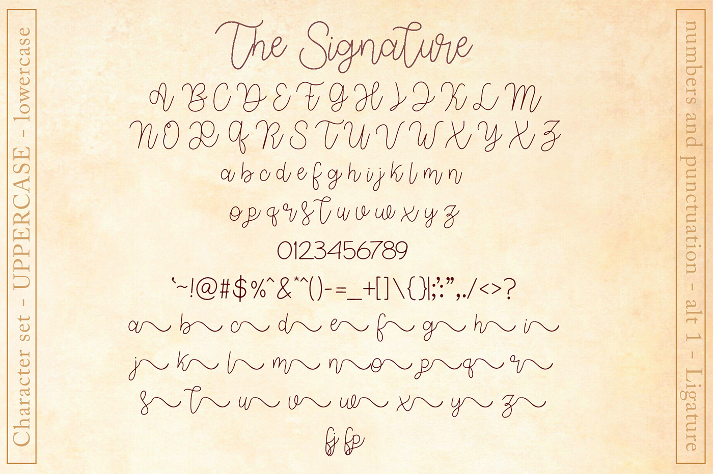 branding  font handletter handwritten lettering monoline Script signature stylish wedding