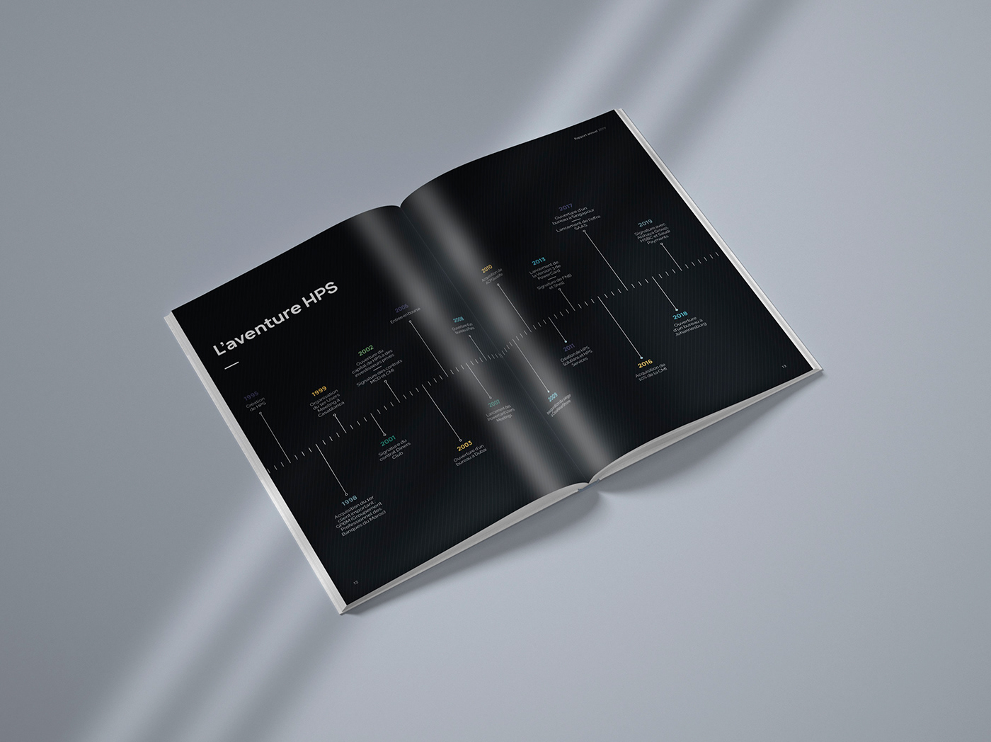 AnnualReport graphicdesign InDesign Layout