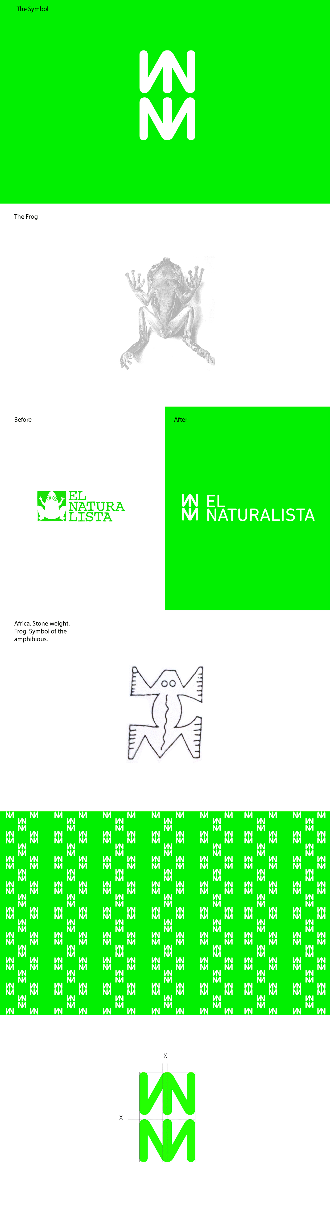frogs shoes zapatos elnaturalista brand rediseño Verde green logo Logotipo redesign ecobrands