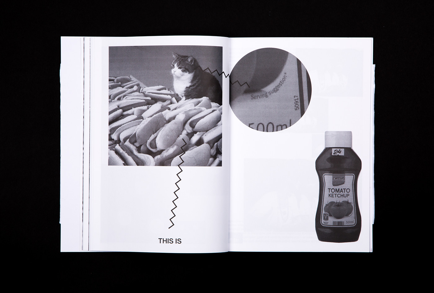 studio reko Sweden Stockholm design book paper wip work in progress DIY fanzine publication graphic grafik