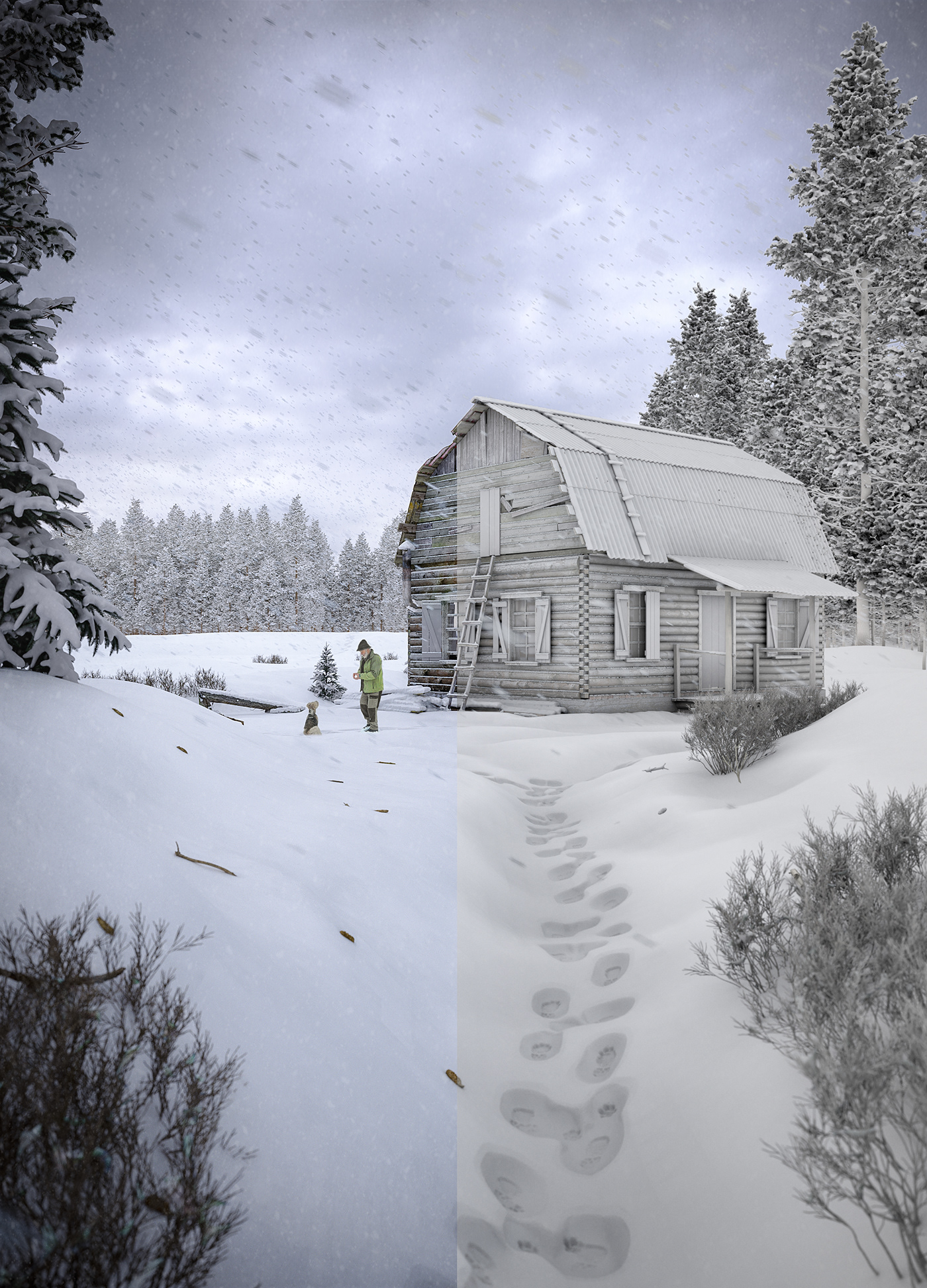 coronarenderer 3dsmax photoshop forest snow Render 3drender visualization architecture CGI whatarerender