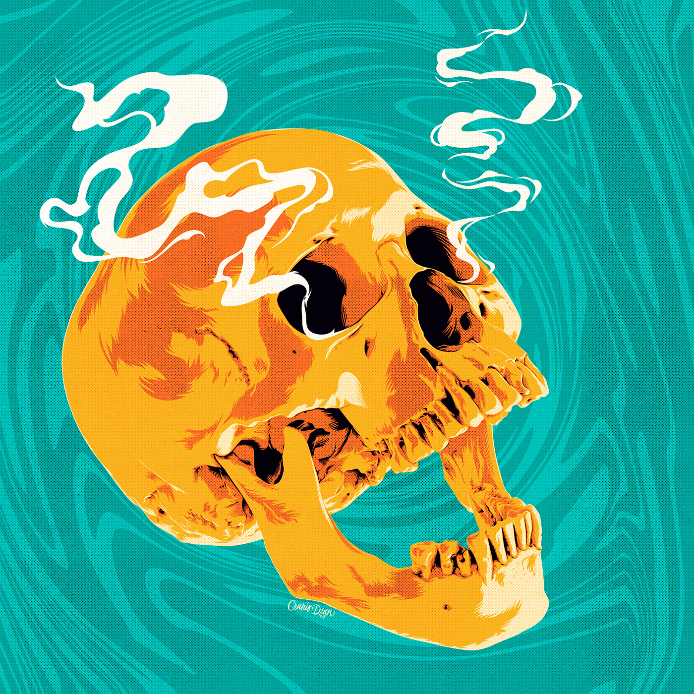 adobe illustrator fish human face Insomnia skull tiger japan skater
