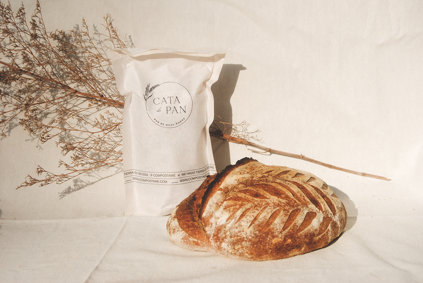 art direction  bakery branding  bread editorial logo panaderia Photography  photoshop indentity
