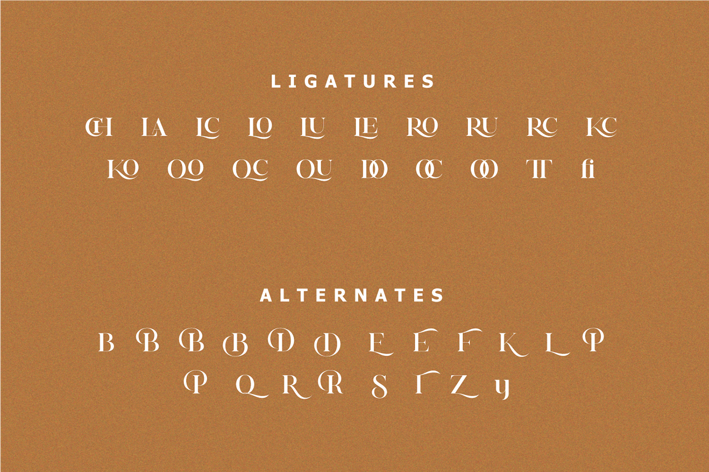 branding  derisn font letters Logo Design Logotype serif type Typeface typography  