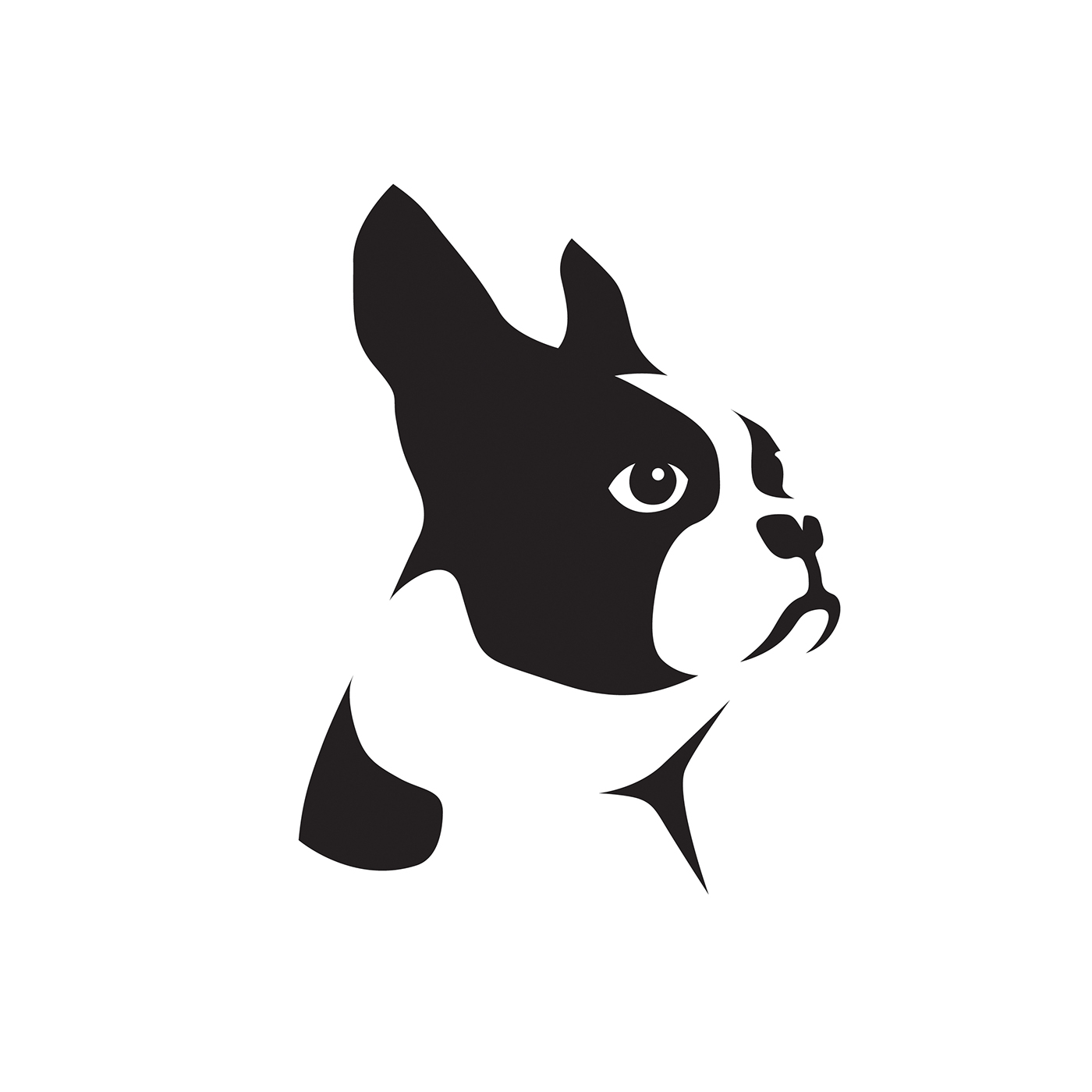 Identity for the Boston Terrier Rescue on Behance