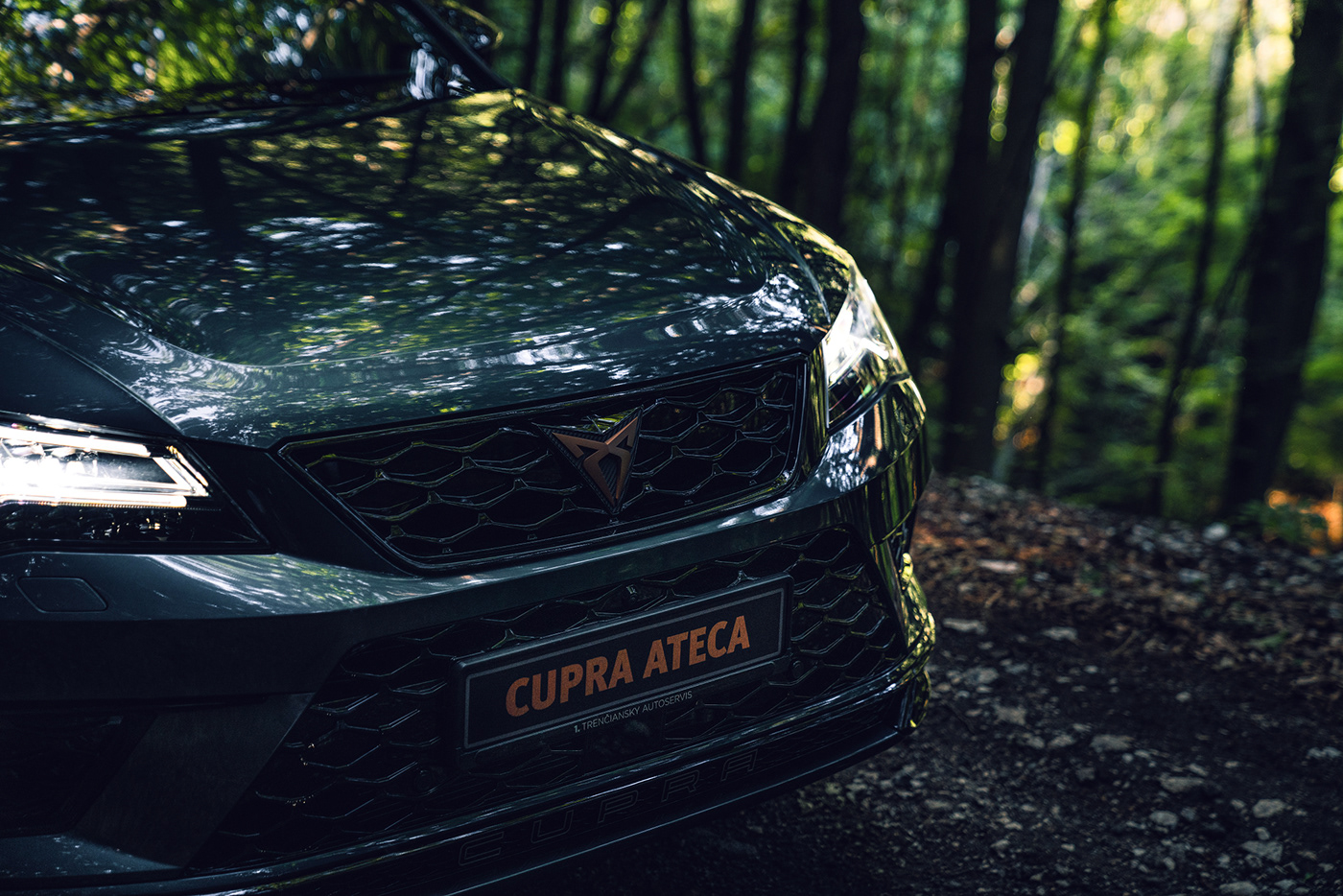 ATECA automotive   car cupra cyprian forest