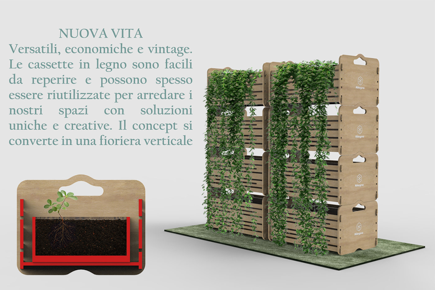 contest crate Engineering  FruitBox Packaging pattern Rilegno spring wood woodenbox