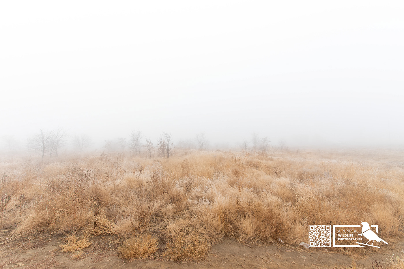 fog landscapes panoram panorama Russia volgograd wildlife
