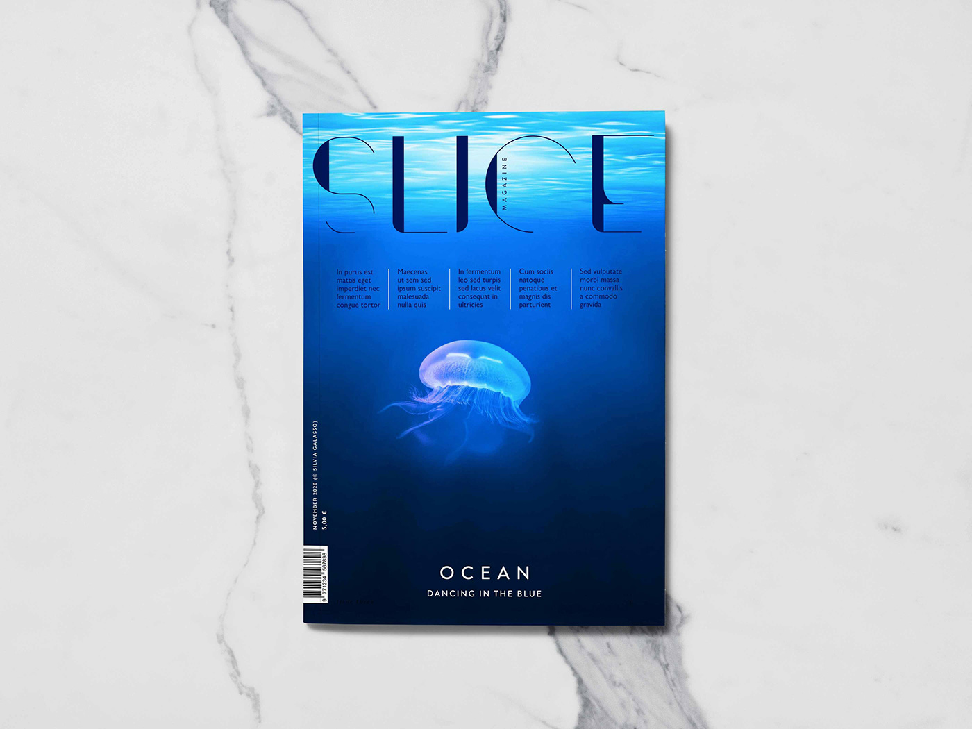 editorial design  magazine magazine layout Photo Retouching blue Ocean Nature