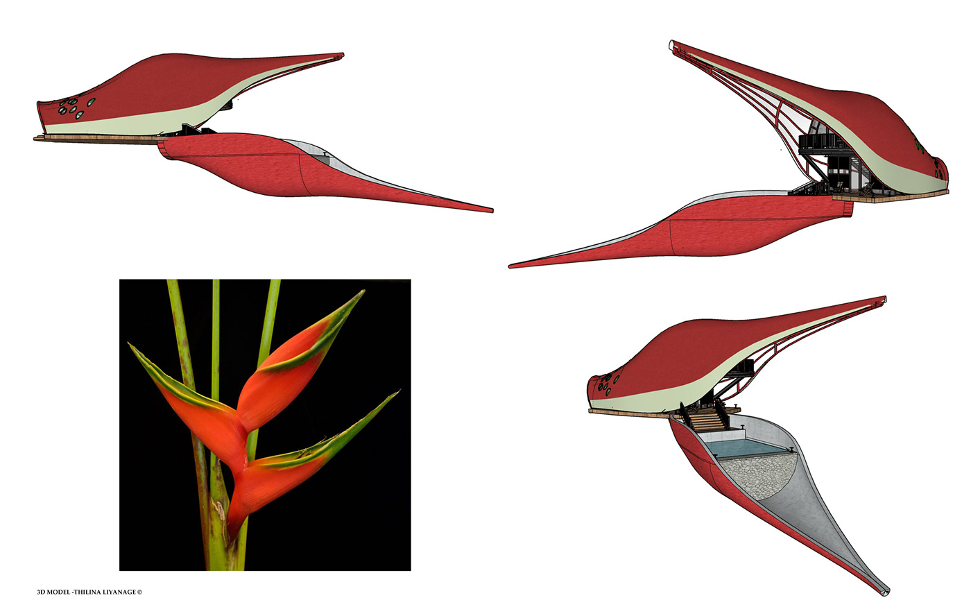 Architectural Concepts architecture Birds of Paradise concepts thilina liyanage