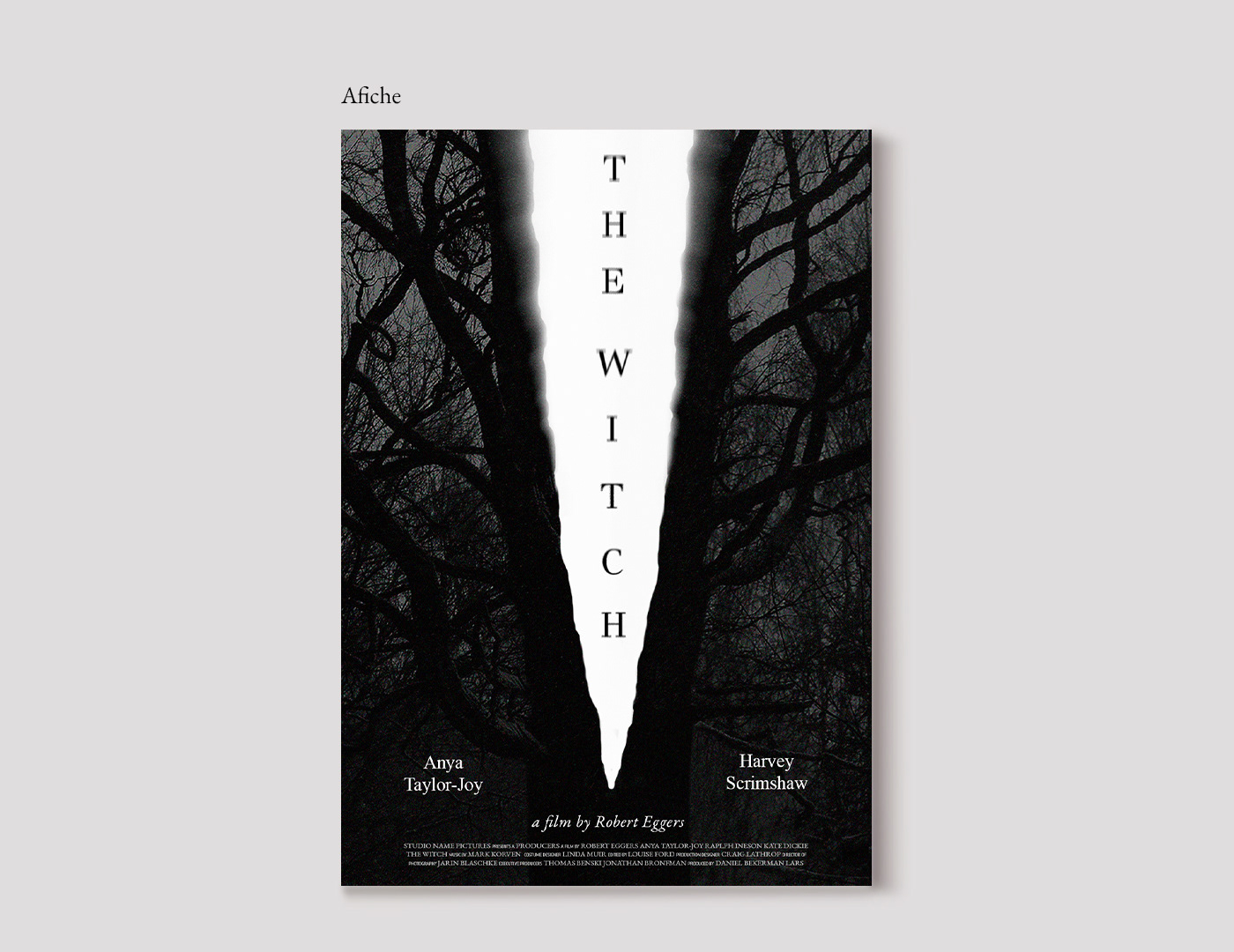 afiche Gabriele afiche de cine Poster Design posters fadu thewitch