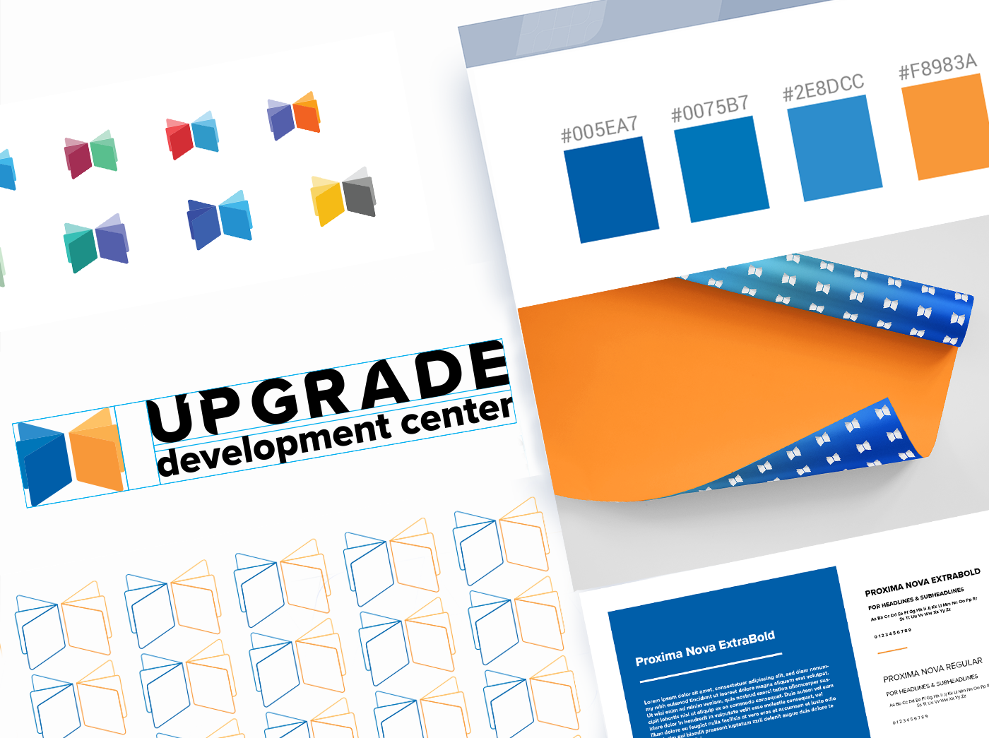 branding  baku azerbaijan Azerbaycan Education logo blue orange development book