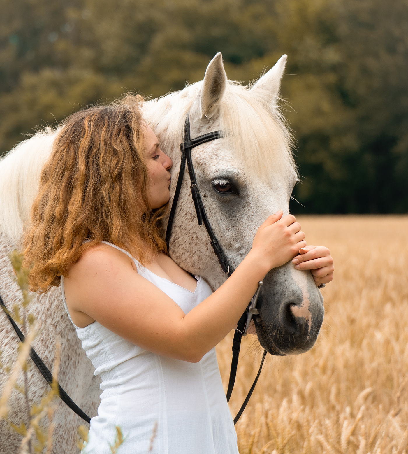 Photography  horse cheval equitation portrait shooting photoshoot photographer Nature equestre