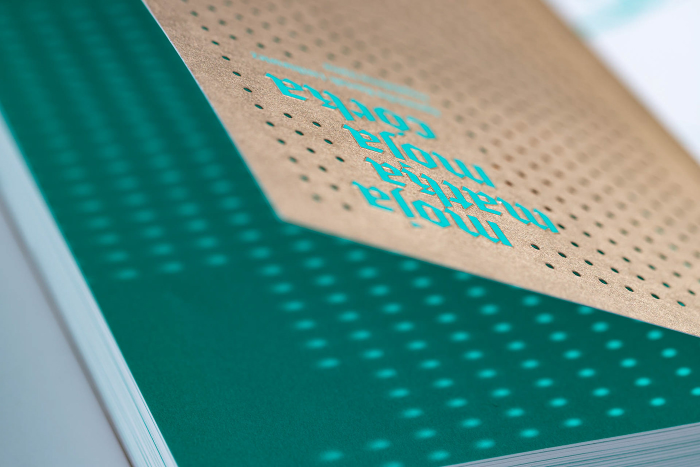 artbook book book art catalog editorial editorial design  InDesign Layout print typography  
