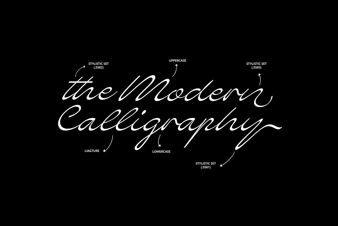 signature font Script font modern Handlettering lettering type handwritten Typeface type design
